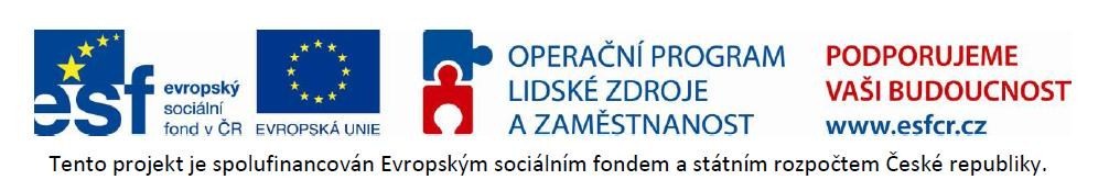 Pracovní a sociální agentura (PSA)